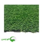 چمن 10 میل فر پر تراکم - Image 2