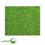 چمن 15 میل پیچک فر - Image 3