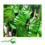 تایل آکاردئونی پتوس دو رو