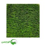 چمن بهاره 15 میل