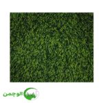 چمن 20 میل ابلق - Image 3