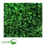 گرین وال کاج