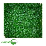 گرین وال پرتقالی