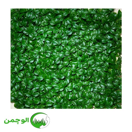 27 گرین وال پرتقالی - Image 1