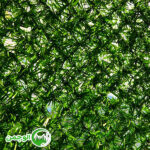 فنس چمنی چشمه 5 - Image 2
