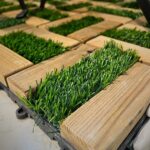 تایل ترکیبی چوب و چمن (دوازده تکه)