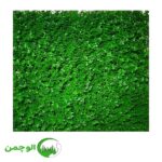 گرین وال ترکیبی شمشادی گل ریز - Image 3