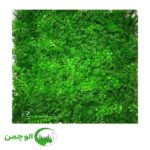 گرین وال ترکیبی شمشادی گل درشت