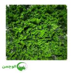 شلف دیواری - Image 8