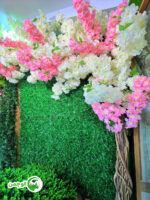 درخت شکوفه - Image 5