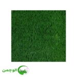 چمن 25 میل تک رنگ - Image 3