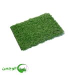 چمن مصنوعی مونوفیلامنت فوتبالی تیره - Image 2