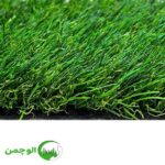 چمن 35 میل بهاره دو رنگ