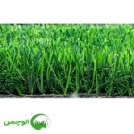 چمن 40 میل وارداتی بهاره
