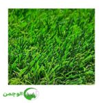 چمن 35 میل بهاره دو رنگ - Image 2