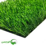 چمن 40 میل وارداتی بهاره - Image 2