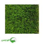 چمن 30 میل بهاره دو رنگ