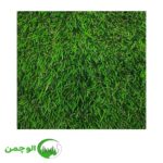 چمن 35 میل بهاره دو رنگ - Image 3