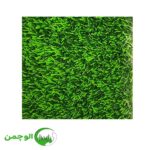چمن 40 میل وارداتی بهاره - Image 3