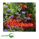 گل و بوته - Image 3